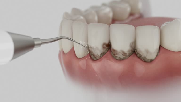 Reliable Dental contractor in Blackwood, NJ by Dentist Open Now